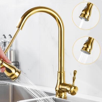 Antique Golden Brass Scalable Kitchen Spray Pull Out Kitchen Sink Tap TG0148