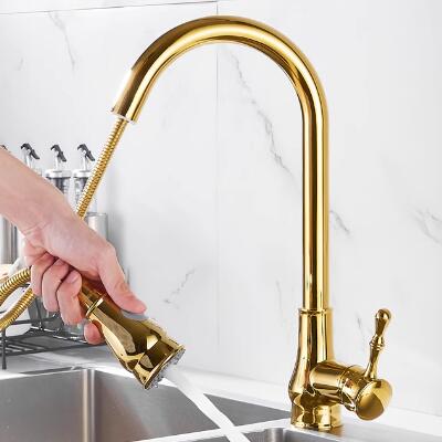 Antique Golden Brass Scalable Kitchen Spray Pull Out Kitchen Sink Tap TG0148